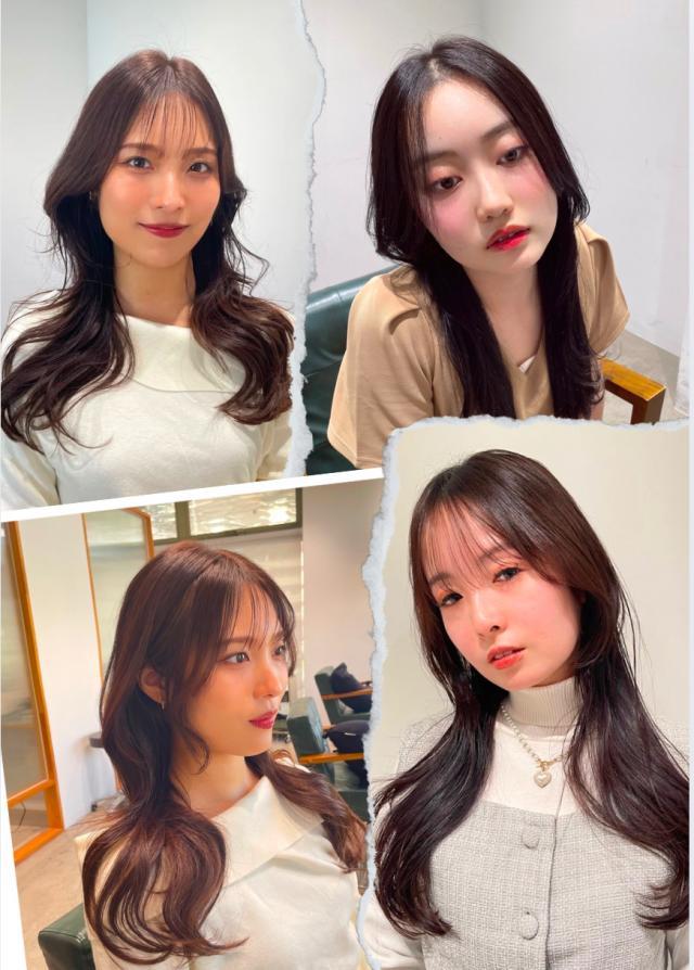 メニュー写真