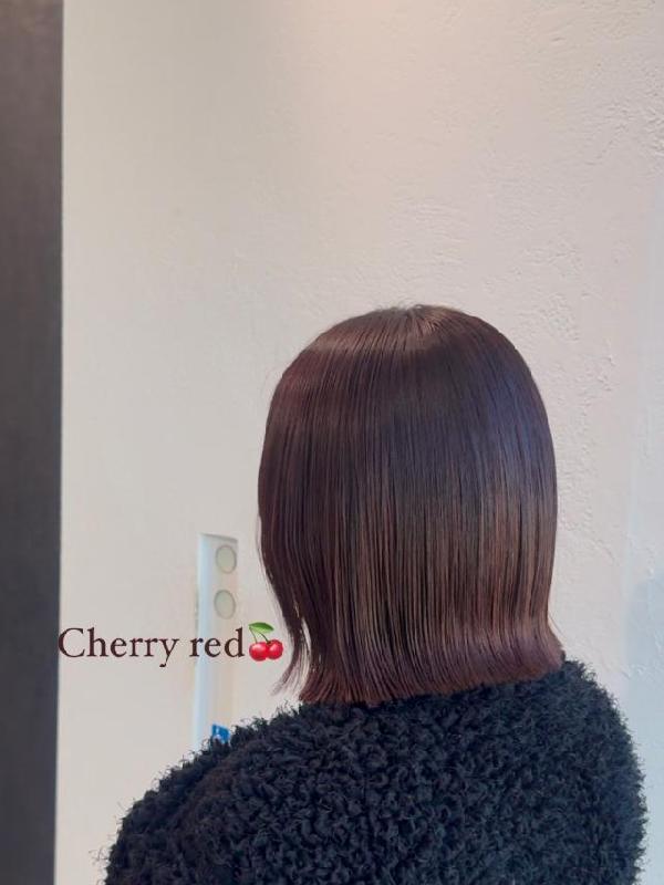 のスタイル画像