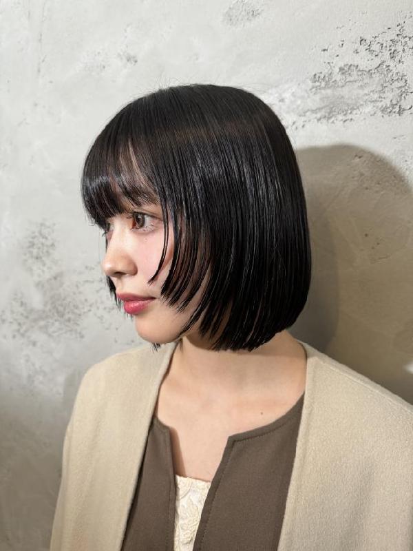 のスタイル画像