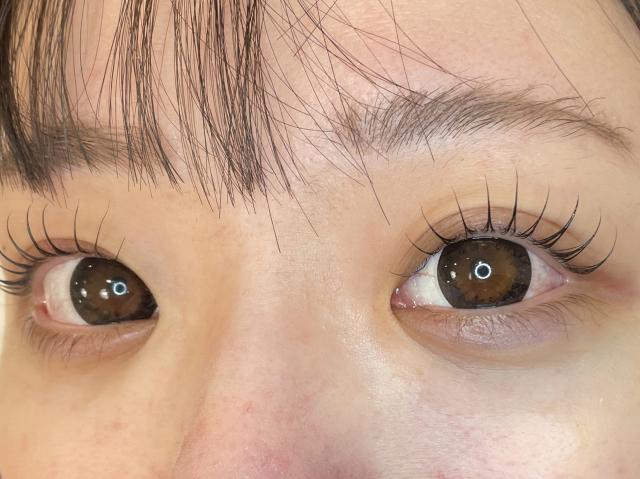 のスタイル画像