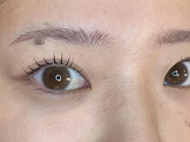 のスタイル画像