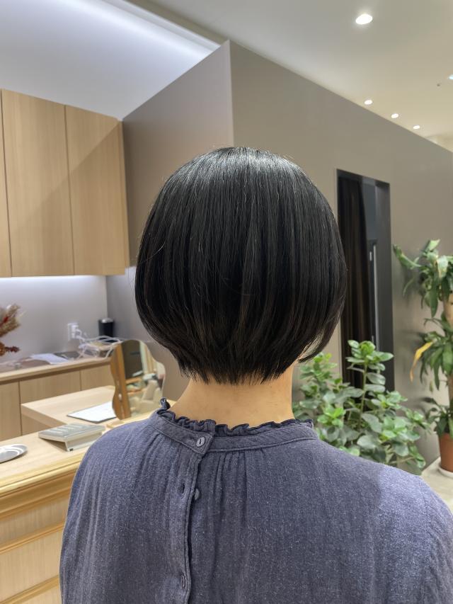 のスタイル画像