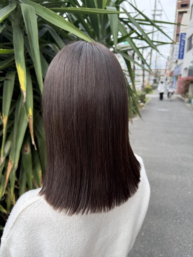 メニュー写真