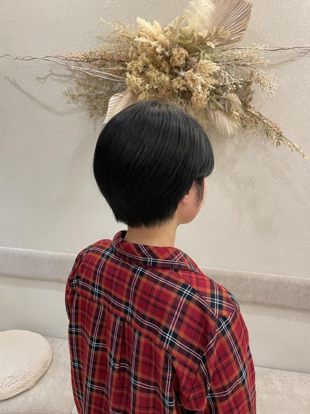 メニュー写真