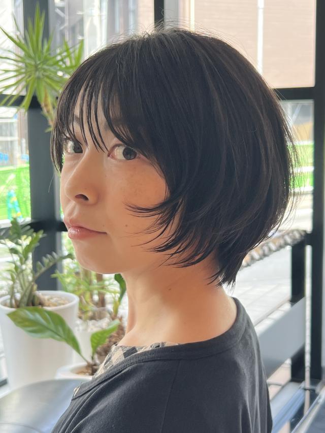 メニュー写真