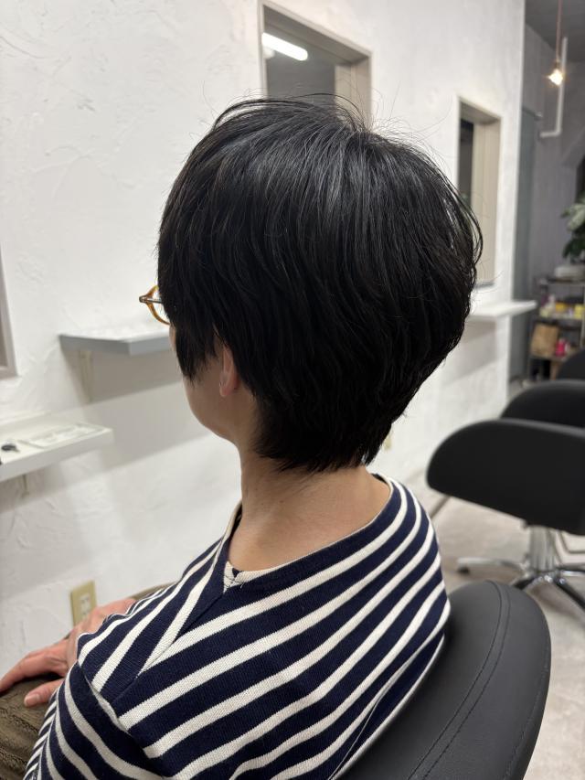 のスタイル画像