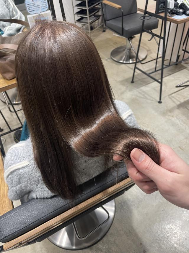 メニュー写真