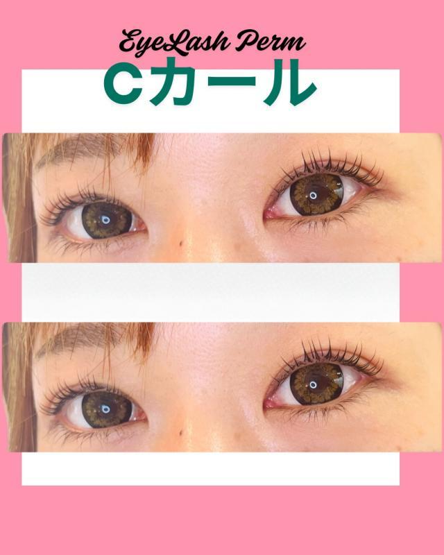 メニュー写真