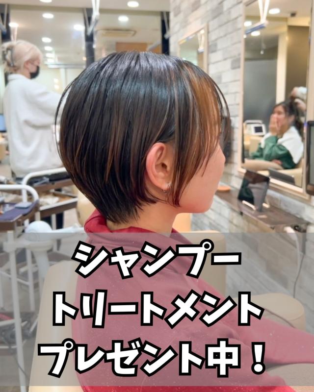 メニュー写真