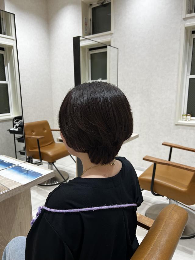 メニュー写真