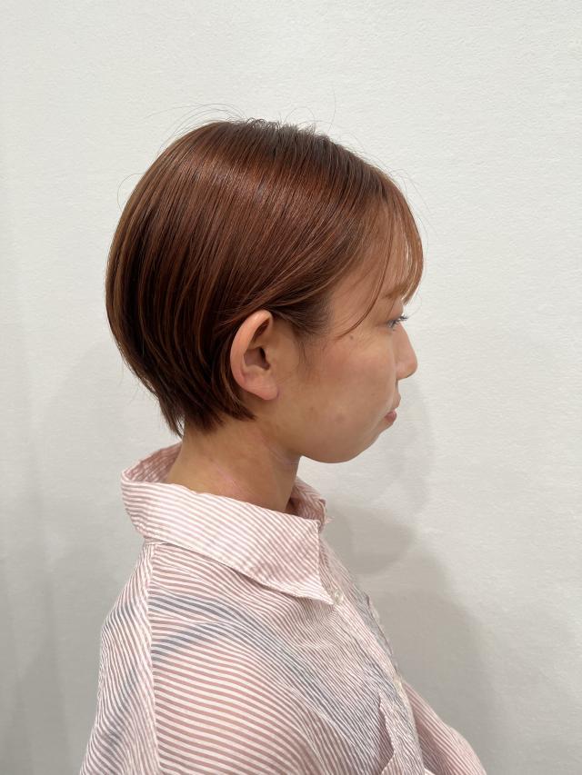 メニュー写真