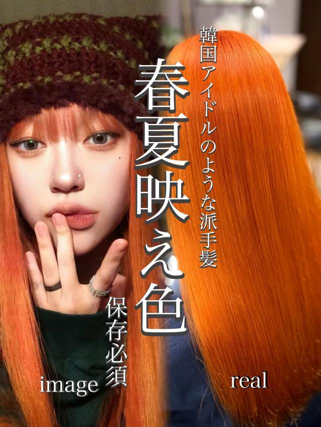メニュー写真