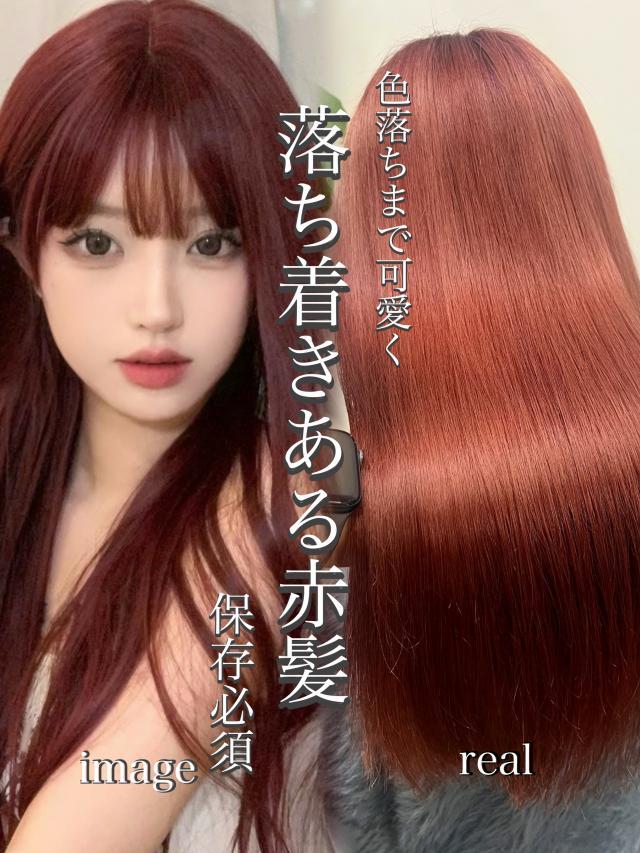 メニュー写真
