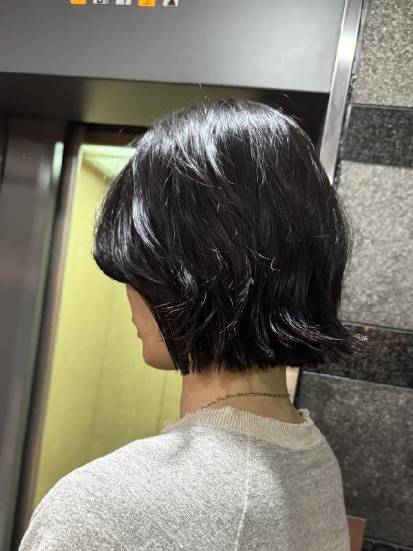 のスタイル画像
