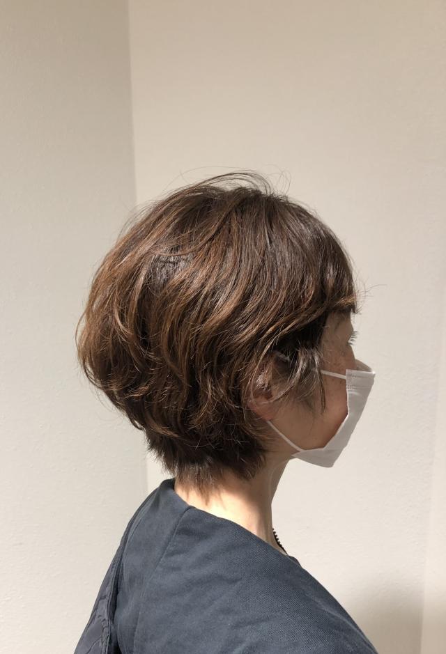メニュー写真