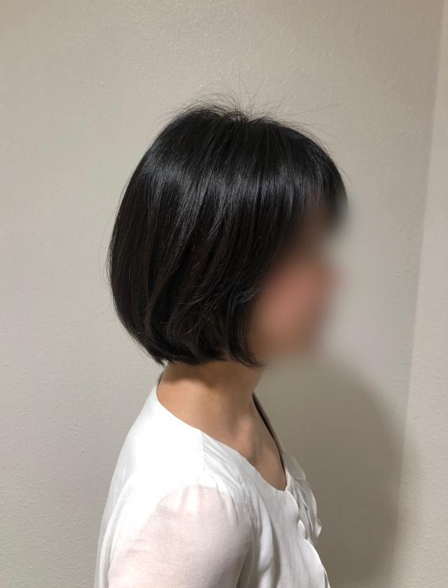 のスタイル画像