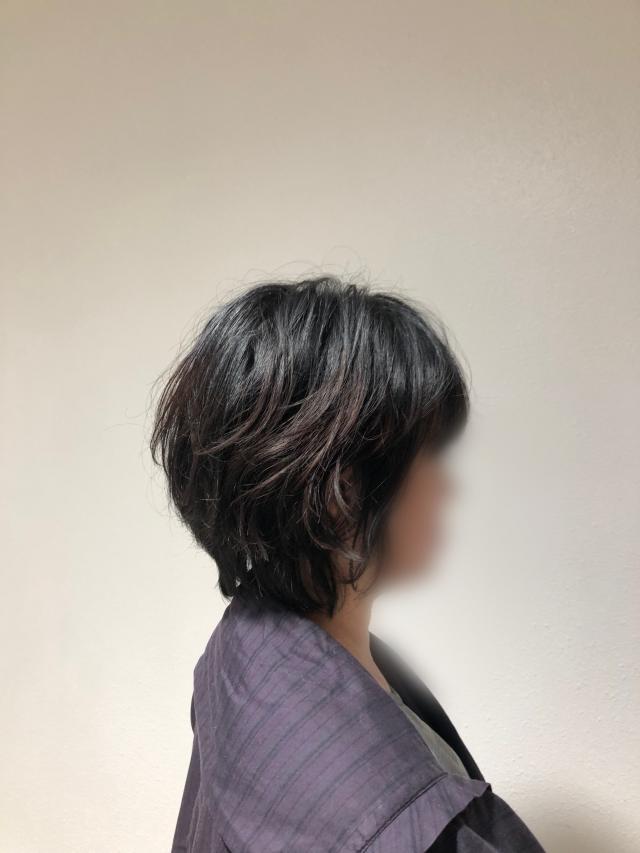 のスタイル画像