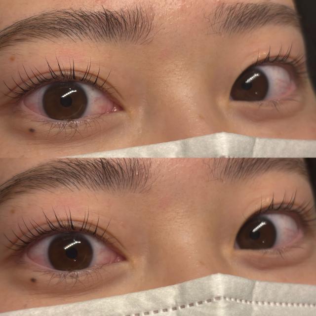 メニュー写真