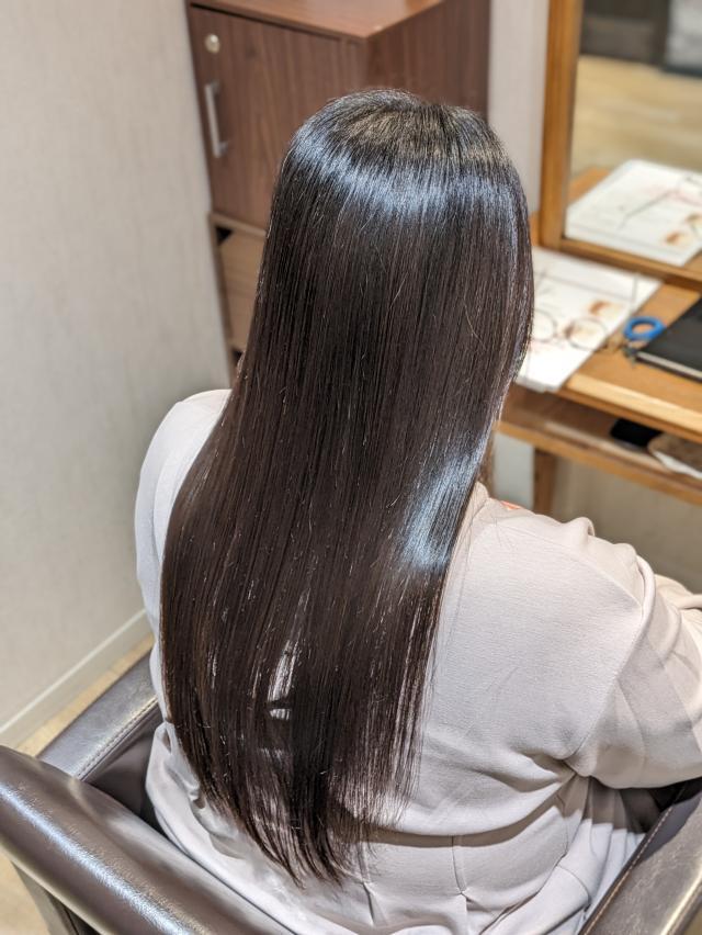 のスタイル画像