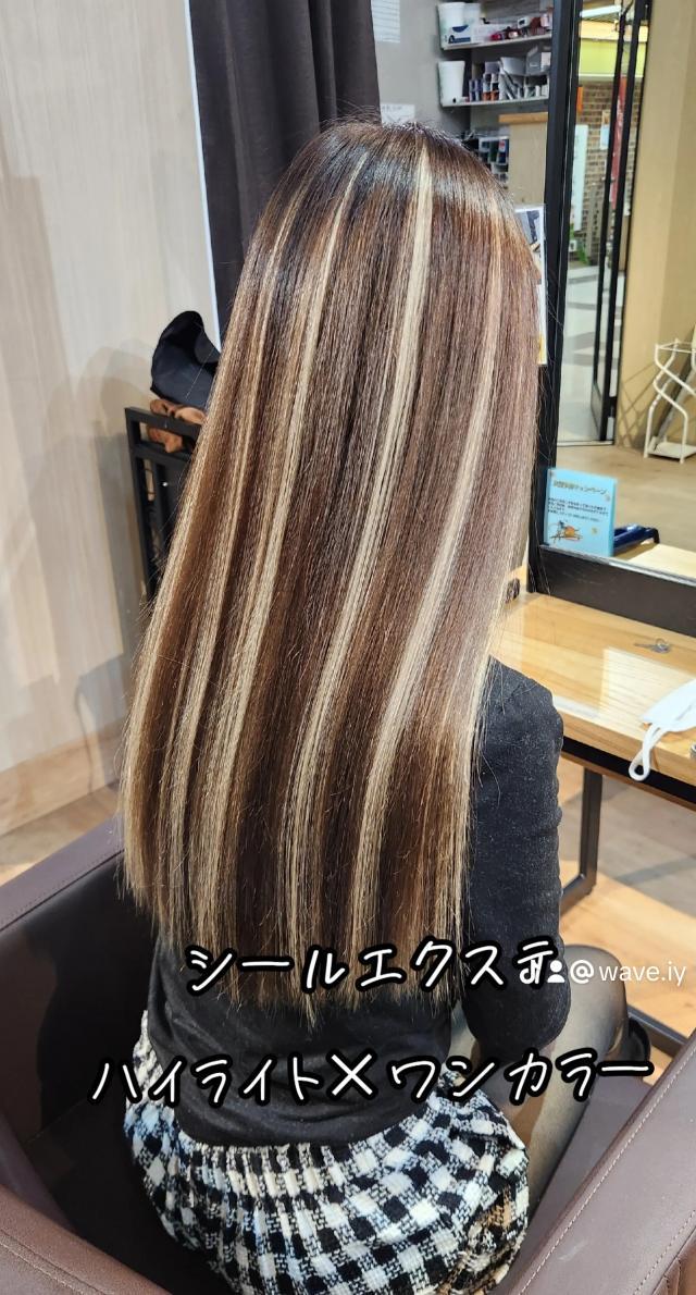 のスタイル画像