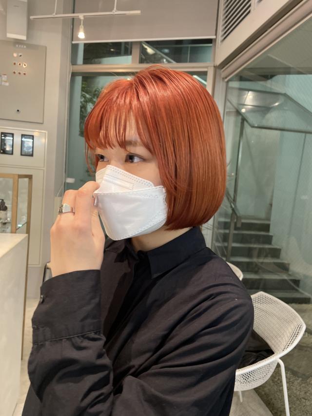 メニュー写真