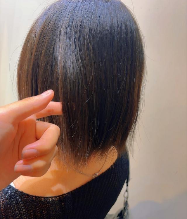 メニュー写真