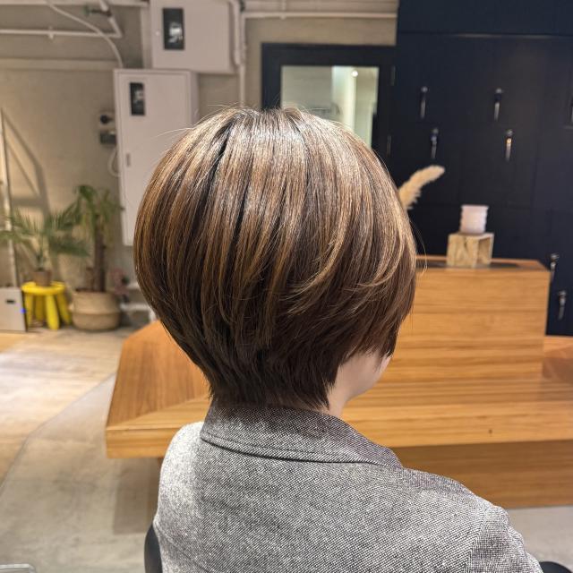 メニュー写真