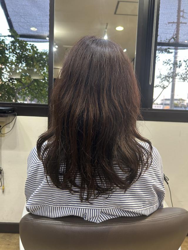 のスタイル画像