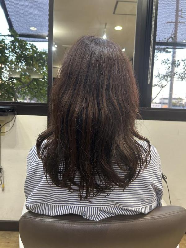 のヘアカタログ画像