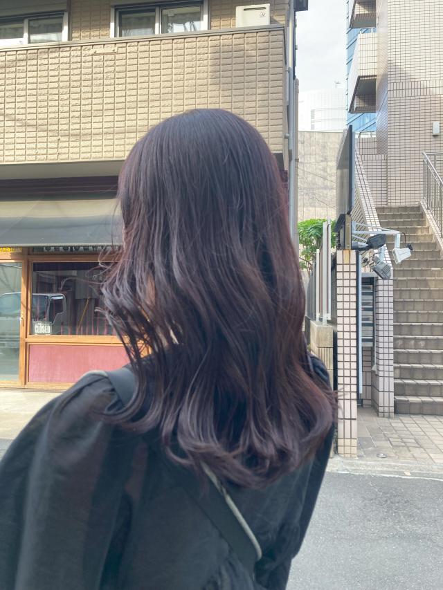 メニュー写真