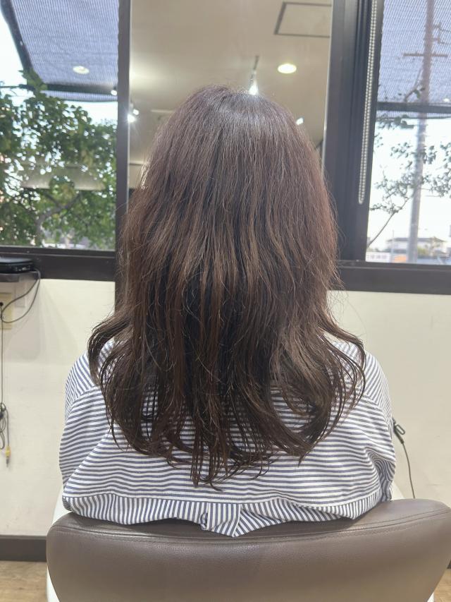 メニュー写真