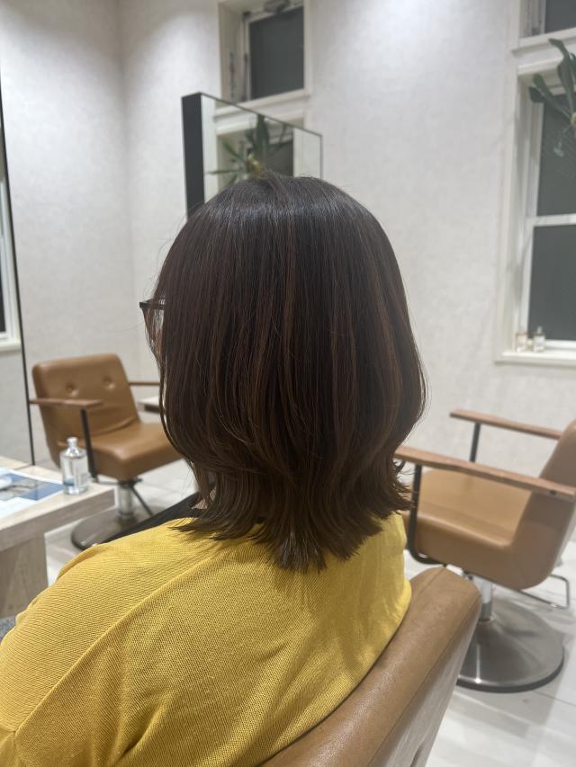 メニュー写真