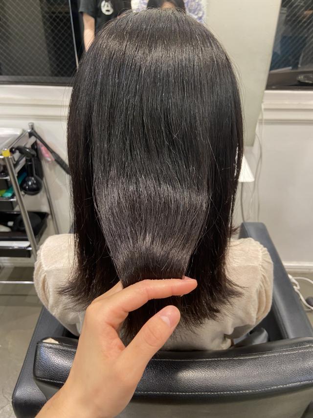 メニュー写真