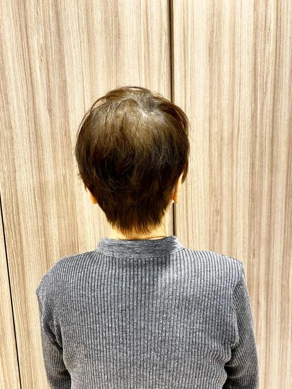 のスタイル画像