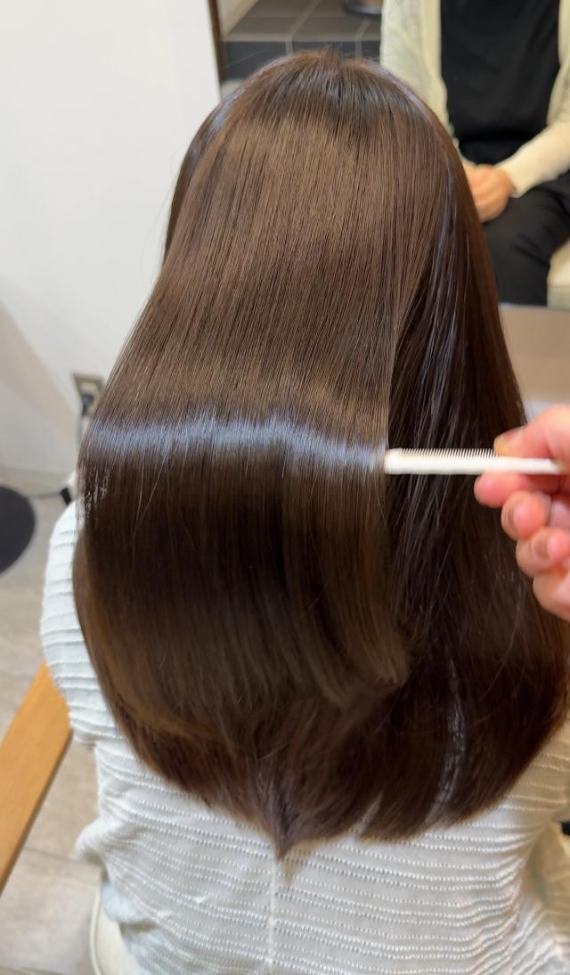 メニュー写真