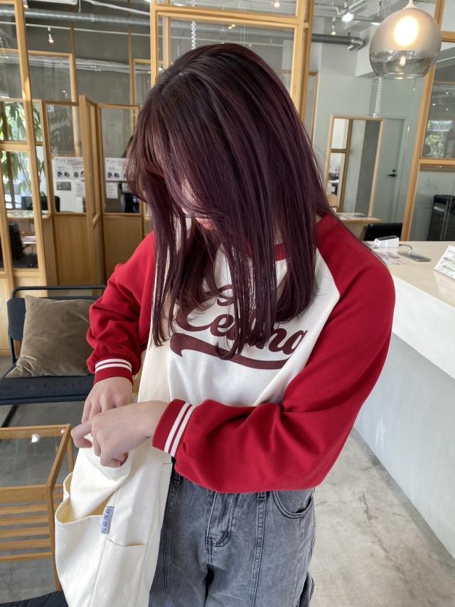 メニュー写真