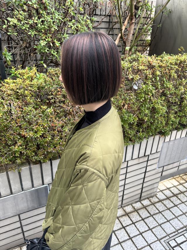 メニュー写真
