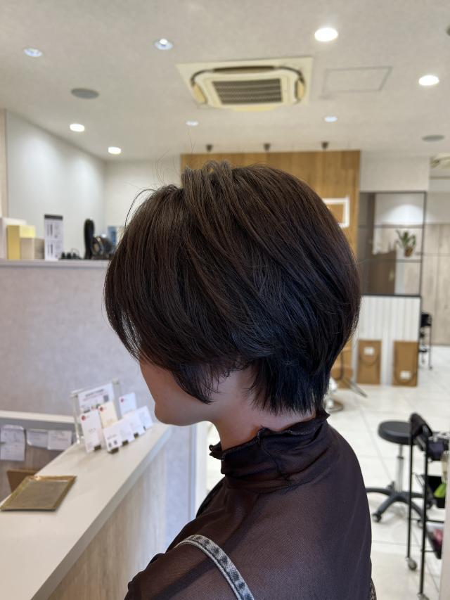 メニュー写真