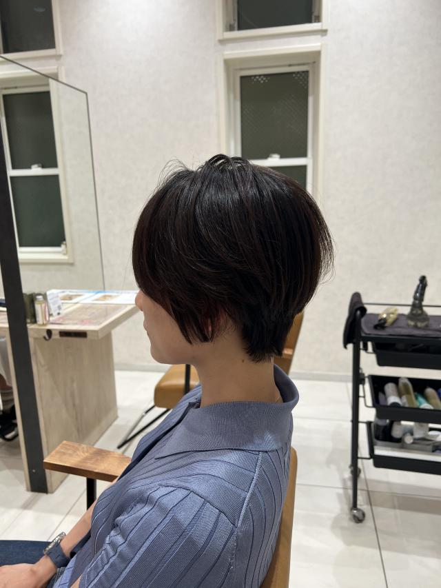 のスタイル画像