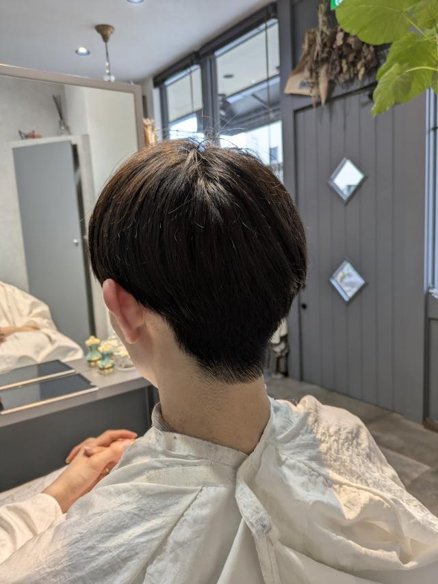 メニュー写真
