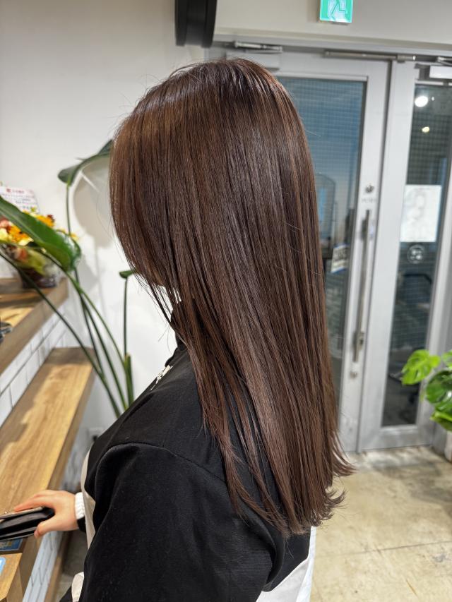 メニュー写真
