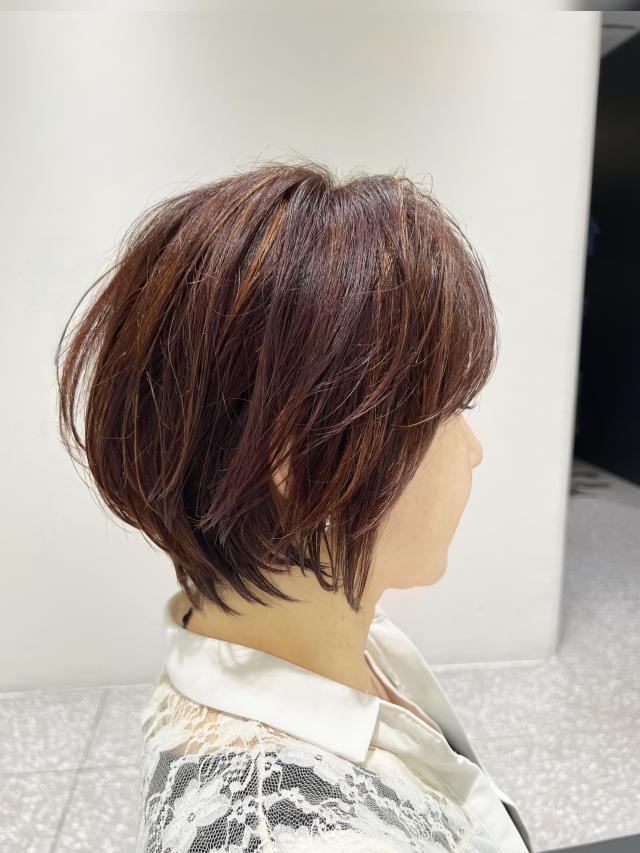 メニュー写真