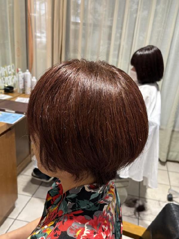 のスタイル画像