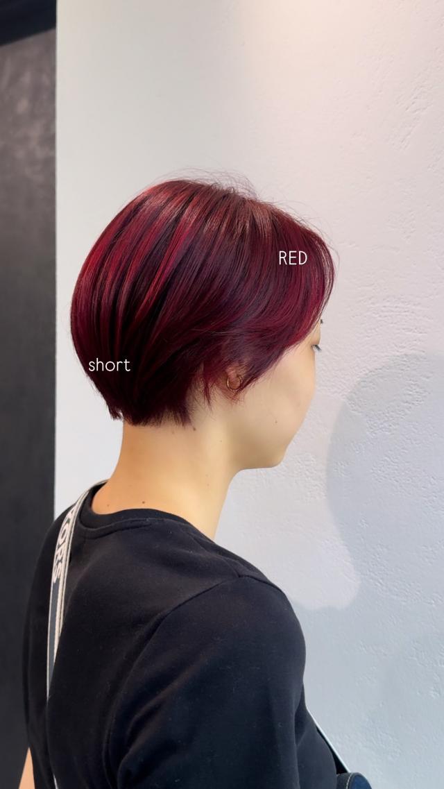 メニュー写真