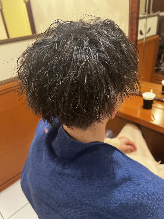 メニュー写真