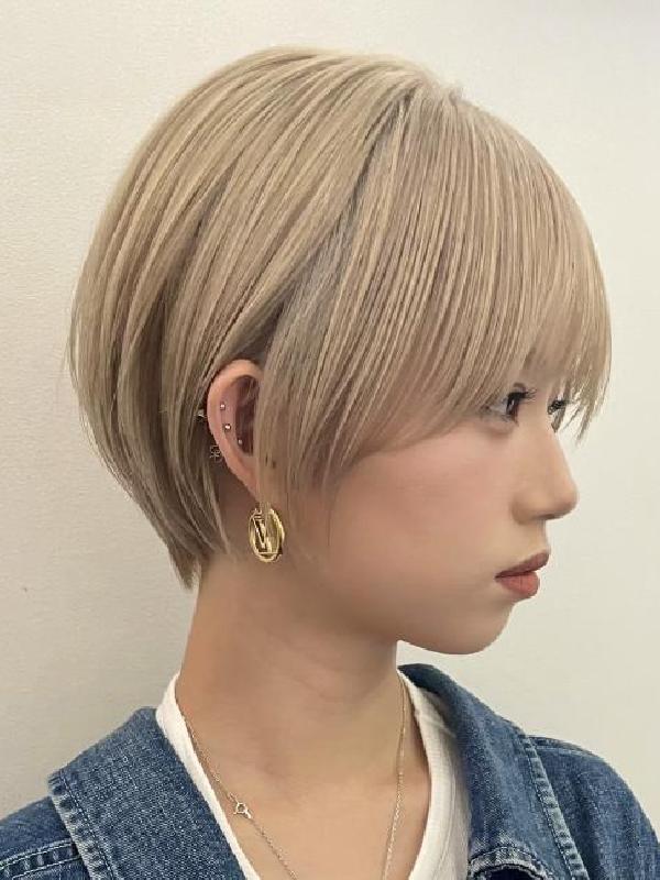 のスタイル画像