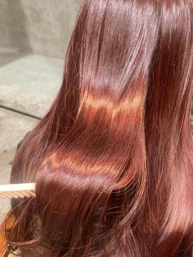 メニュー写真