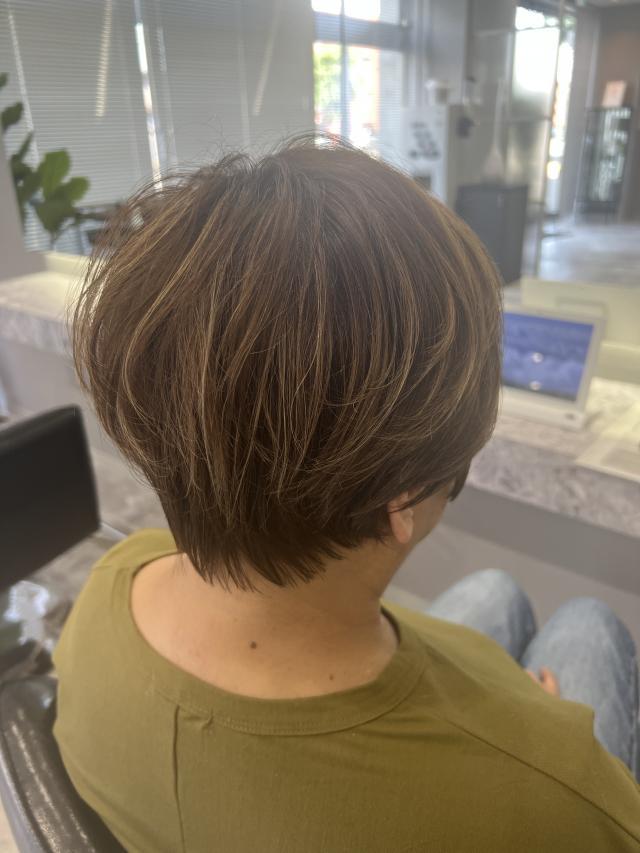 のスタイル画像