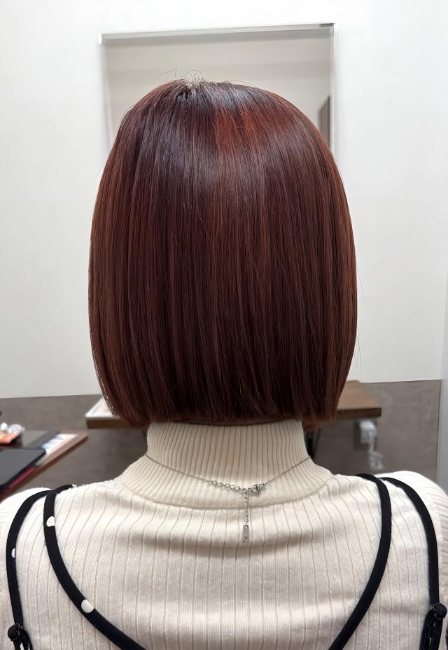 メニュー写真