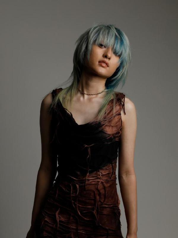 のスタイル画像